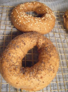 These are the boiled, but not baked bagels!